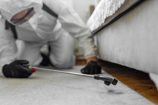 Professional Bed Bug Control technician working in Van Buren, AR
