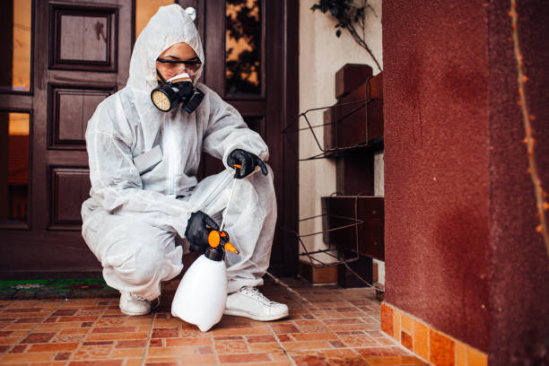 Reliable Bed Bug Control contractor in Van Buren, AR by Nex Pest Control